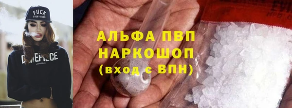 сатива Ельня