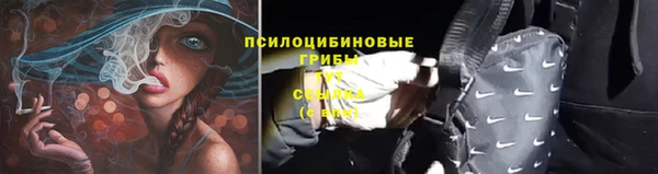каннабис Нефтекумск