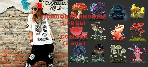 эйфоретик Нефтегорск