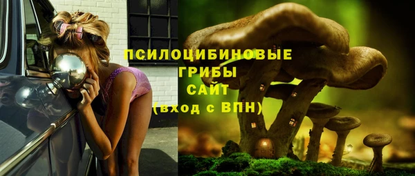 эйфоретик Нефтегорск